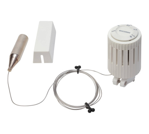 Головка термостатическая Giacomini с выносным датчиком 2 м R462X002