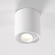 Накладной потолочный светильник 25041/LED