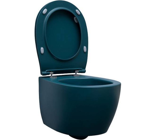 Унитаз подвесной Allen Brau Fantasy 36.3x51x40 см зеленый 4.11004.PT