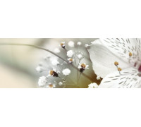 Декор Keros Calido Dance B 25х70 см х9999028461