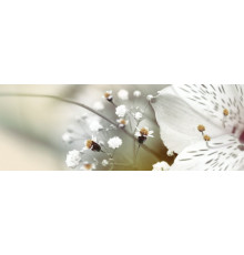 Декор Keros Calido Dance B 25х70 см х9999028461