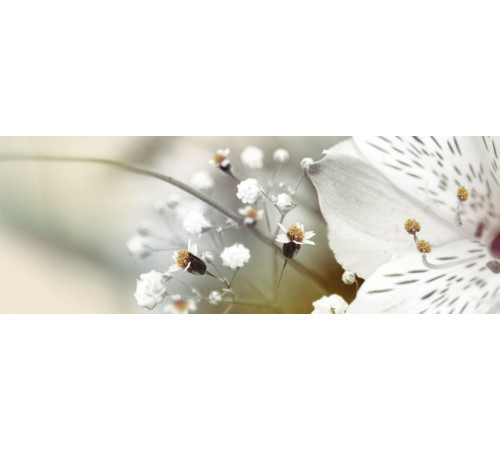 Декор Keros Calido Dance B 25х70 см х9999028461