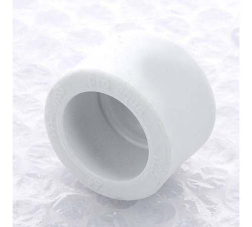 Заглушка полипропиленовая Pro Aqua 25 мм PA15010P