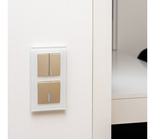 Выключатель двухклавишный проходной с подсветкой (шампань рифленый) W1122110