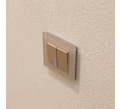 Выключатель двухклавишный проходной с подсветкой (шампань рифленый) W1122110