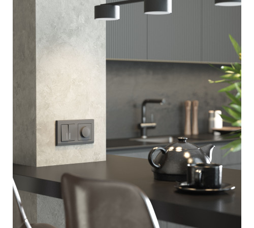 Выключатель двухклавишный с подсветкой (графит матовый) W1120164