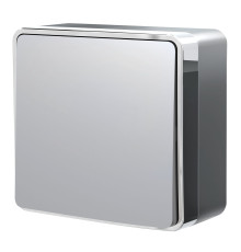 Выключатель одноклавишный Gallant серебряный W5010006