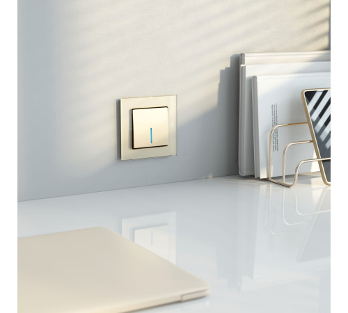 Выключатель одноклавишный проходной с подсветкой (шампань) W1112111