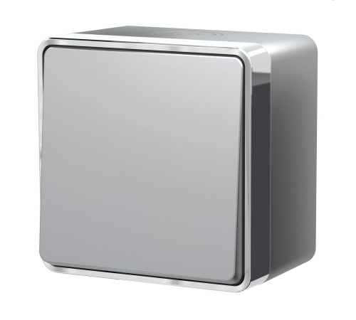 Выключатель одноклавишный влагозащищенный Gallant серебряный W5010206