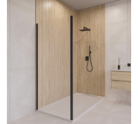 Боковая панель RGW Z-050-5-B 900х1900 мм черный профиль 352205509-14