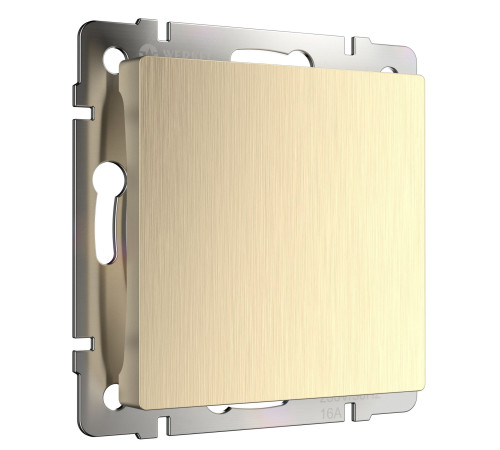 Заглушка (шампань рифленый) W1159210