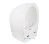 Унитаз подвесной Allen Brau FANTASY Rimless с гигиеническим душем 510x363 мм белый 4.11HC1.20