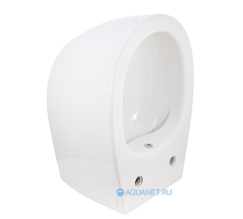 Унитаз подвесной Allen Brau FANTASY Rimless с гигиеническим душем 510x363 мм белый 4.11HC1.20