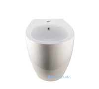 Биде приставное Allen Brau Fantasy 520x363 мм белый 4.11008.20