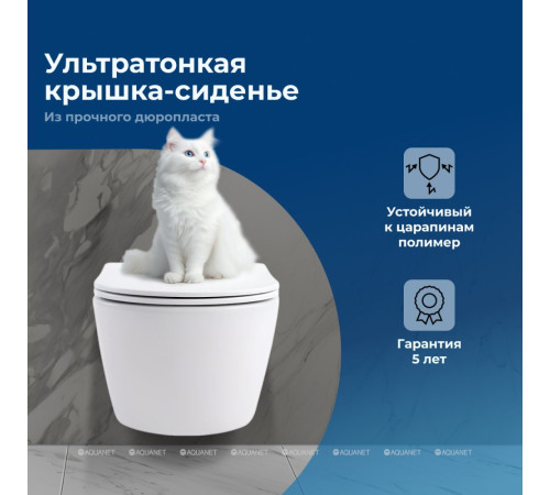 Унитаз подвесной Aquanet Smart W Rimless 490x360x250 мм с сиденьем Soft Close Slim 00276395
