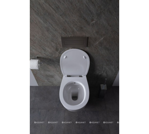 Унитаз подвесной Allen Brau FANTASY Rimless с гигиеническим душем 510x363 мм белый 4.11HC1.20