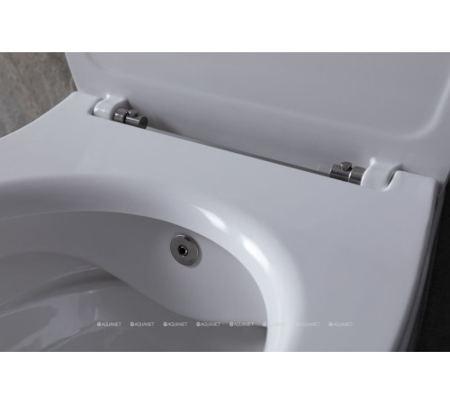 Унитаз подвесной Allen Brau FANTASY Rimless с гигиеническим душем 510x363 мм белый 4.11HC1.20