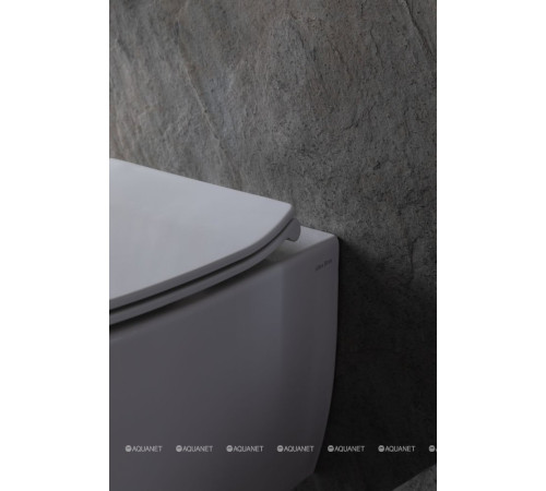 Унитаз подвесной Allen Brau FANTASY Rimless с гигиеническим душем 510x363 мм белый 4.11HC1.20