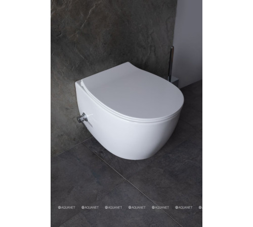 Унитаз подвесной Allen Brau FANTASY Rimless с гигиеническим душем 510x363 мм белый 4.11HC1.20