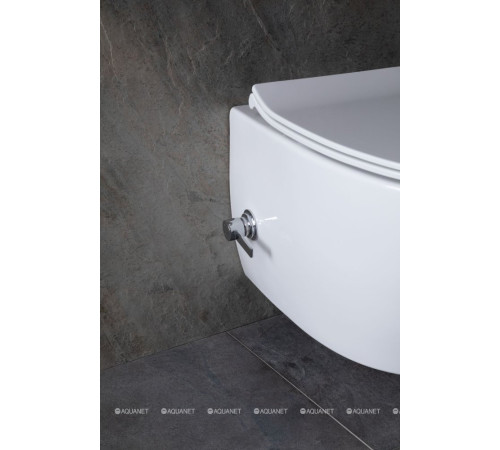 Унитаз подвесной Allen Brau FANTASY Rimless с гигиеническим душем 510x363 мм белый 4.11HC1.20