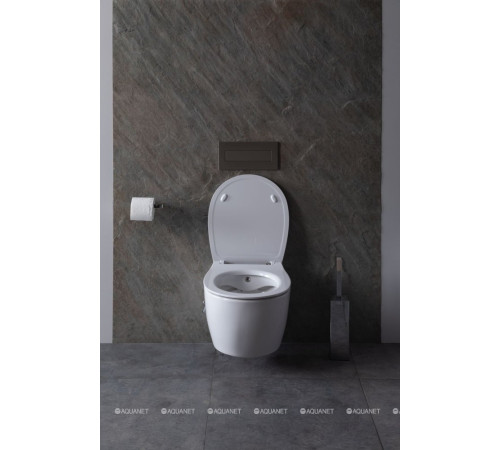 Унитаз подвесной Allen Brau FANTASY Rimless с гигиеническим душем 510x363 мм белый 4.11HC1.20