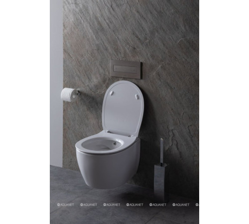 Унитаз подвесной Allen Brau FANTASY Rimless с гигиеническим душем 510x363 мм белый 4.11HC1.20