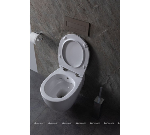 Унитаз подвесной Allen Brau FANTASY Rimless с гигиеническим душем 510x363 мм белый 4.11HC1.20