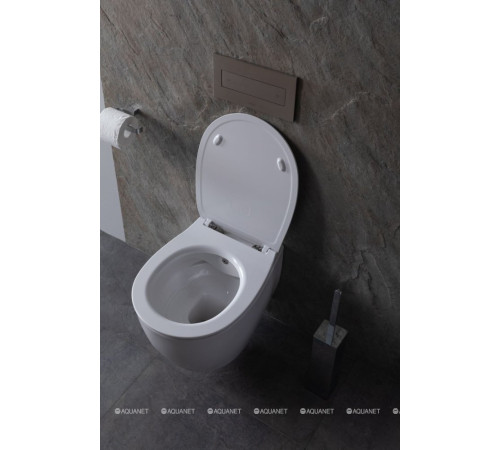 Унитаз подвесной Allen Brau FANTASY Rimless с гигиеническим душем 510x363 мм белый 4.11HC1.20