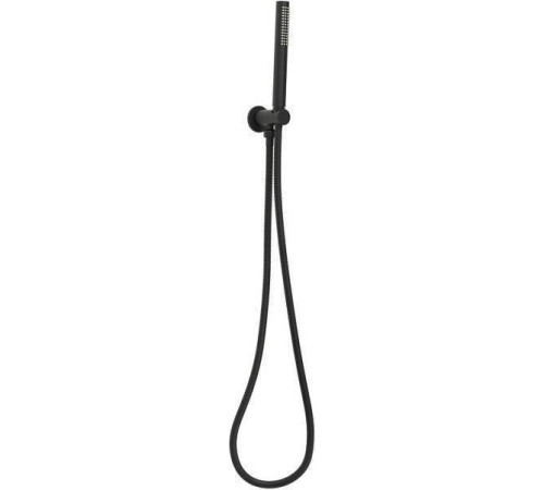 Душевой гарнитур Allen Brau Priority ручной душ с держателем и шлангом черный матовый 5.31019-31