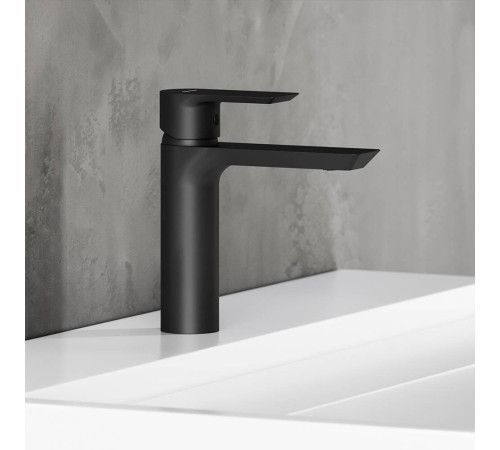 Смеситель для раковины AM.PM Apollo матовый черный 470210300