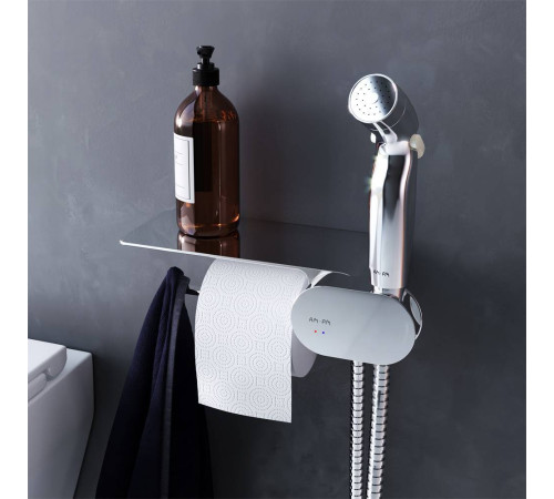 Смеситель встраиваемый с гигиеническим душем и полкой AM.PM Like F0202600