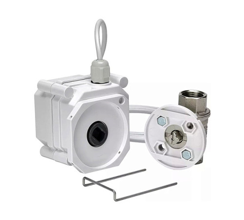 Кран с электроприводом Gidrolock Professional BS 220V Enolgas 1 11081043