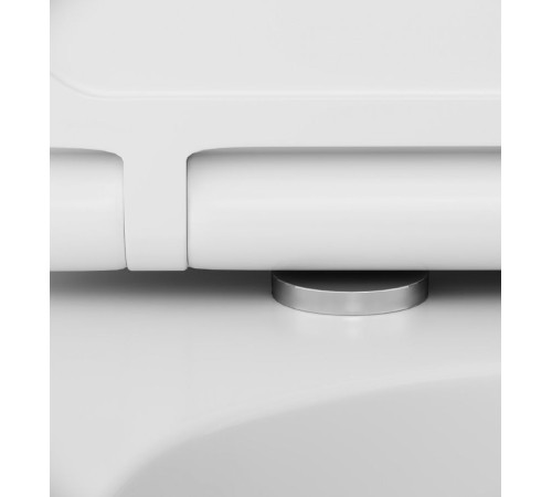 Комплект инсталляция с подвесным унитазом AM.PM FlashClean с сиденьем микролифт и клавишей IS49001.701700