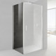 Боковая стенка для душевой кабины Provex Look 1000х1950 мм 0005 LW 05 GL