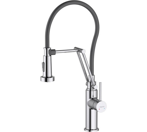 Смеситель для кухни Aquanet Европа профессиональный 2 jet хром AQ1388CR