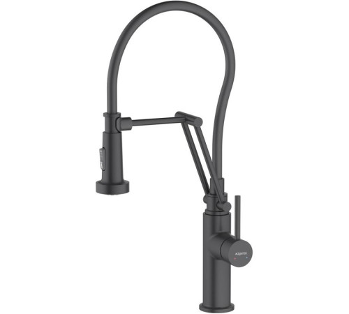 Смеситель для кухни Aquanet Европа профессиональный 2 jet матовый черный AQ1388MB