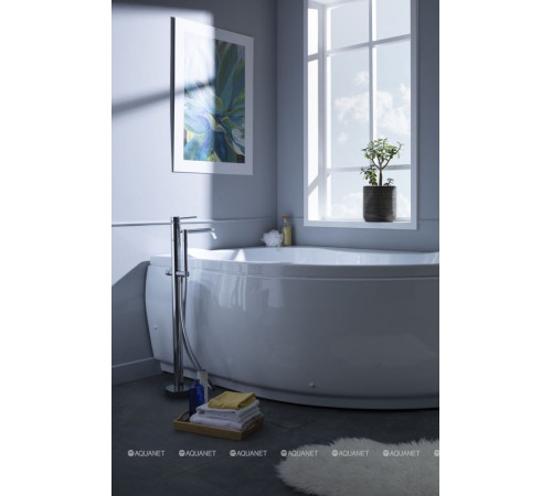 Ванна акриловая Aquanet Capri 160x100 L левосторонняя с каркасом и сливом-переливом 00205476