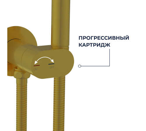 Гигиенический душ со смесителем RGW SP-213Gb золото 581408213-06