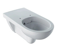 Унитаз подвесной Geberit Selnova Comfort Rimfree 700 мм 500.262.01.1