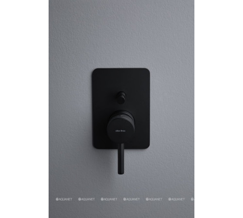 Смеситель встраиваемый для душа Allen Brau Priority 2 выхода Easy box черный 5.31011-31