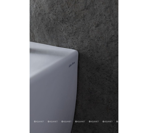 Биде подвесное Allen Brau Fantasy 510x363 мм белый 4.11006.20