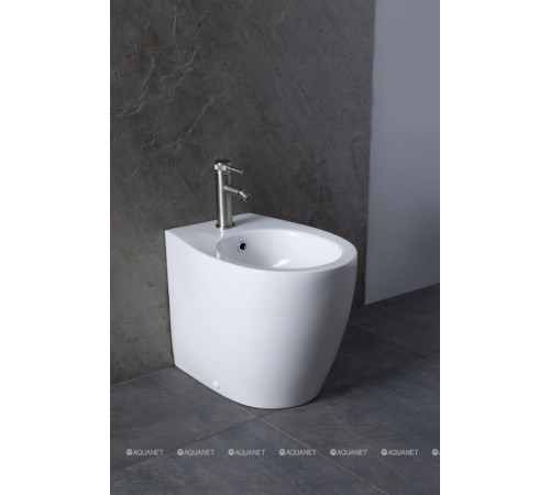 Биде приставное Allen Brau Fantasy 520x363 мм белый 4.11008.20