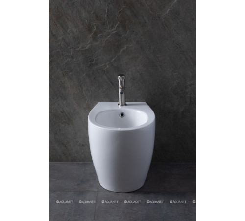 Биде приставное Allen Brau Fantasy 520x363 мм белый 4.11008.20