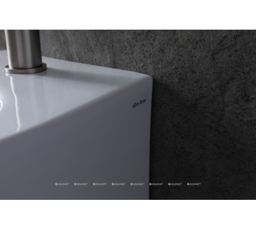 Биде приставное Allen Brau Fantasy 520x363 мм белый 4.11008.20