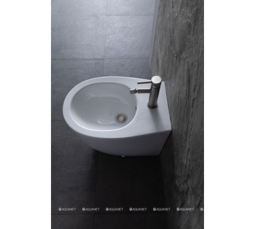 Биде приставное Allen Brau Fantasy 520x363 мм белый 4.11008.20