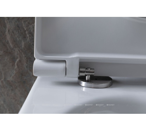 Унитаз подвесной Allen Brau Reality Rimless без сиденья 530x365 мм белый 4.32006.20