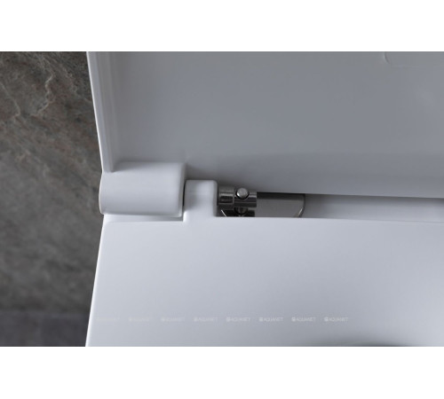 Унитаз подвесной Allen Brau Reality Rimless без сиденья 530x365 мм белый 4.32006.20