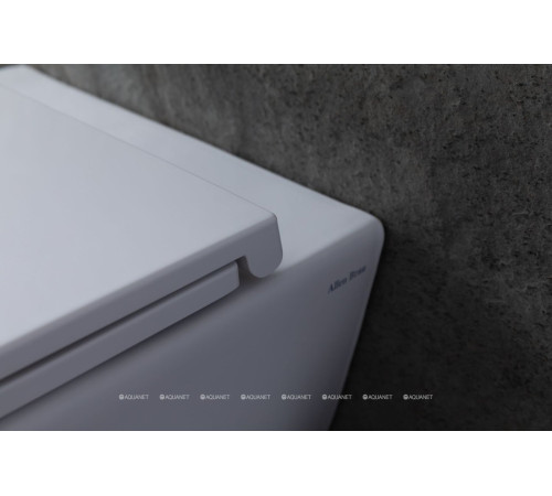 Унитаз подвесной Allen Brau Reality Rimless без сиденья 530x365 мм белый 4.32006.20