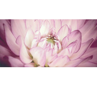 Декор Paradyz Sorenta Mocca Durst Kwiaty B 30х60 см х9999012092