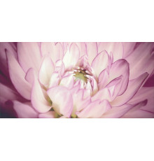 Декор Paradyz Sorenta Mocca Durst Kwiaty B 30х60 см х9999012092